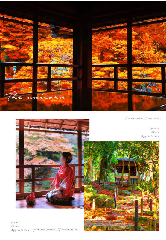 Shiga: Lake Biwa Shirahige Shrine & Miho Museum & Former Chikurin-in Temple Day Trip | Departing from Osaka/Kyoto - Who should book this Shiga day trip?