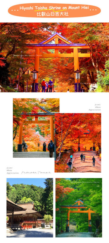 Shiga: Lake Biwa Shirahige Shrine & Miho Museum & Former Chikurin-in Temple Day Trip | Departing from Osaka/Kyoto - Should you book it?