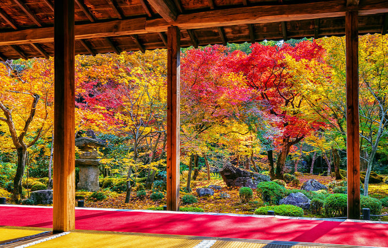 Shiga Mitsui Shiga Ryuo Outlet-Mentaiko Park-Lake Biwa Observation Deck/Arashiyama Sanzen-in - Who should book this day trip?