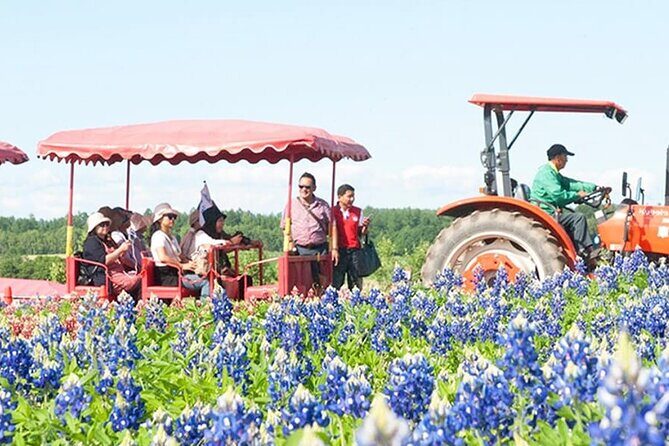 Shikisai-no-Oka Fairy Terrace Tour, optional lunch from Sapporo - FAQ