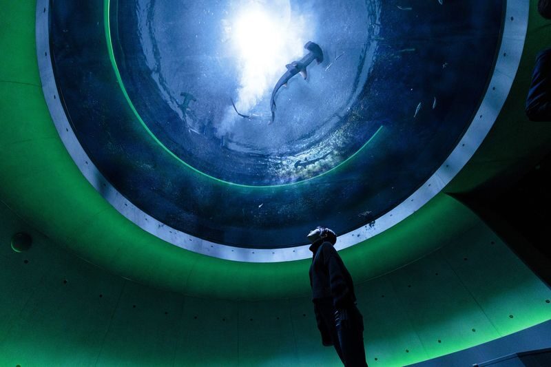 Shikoku Aquarium Ticket - Following the 70 scenes at your own pace