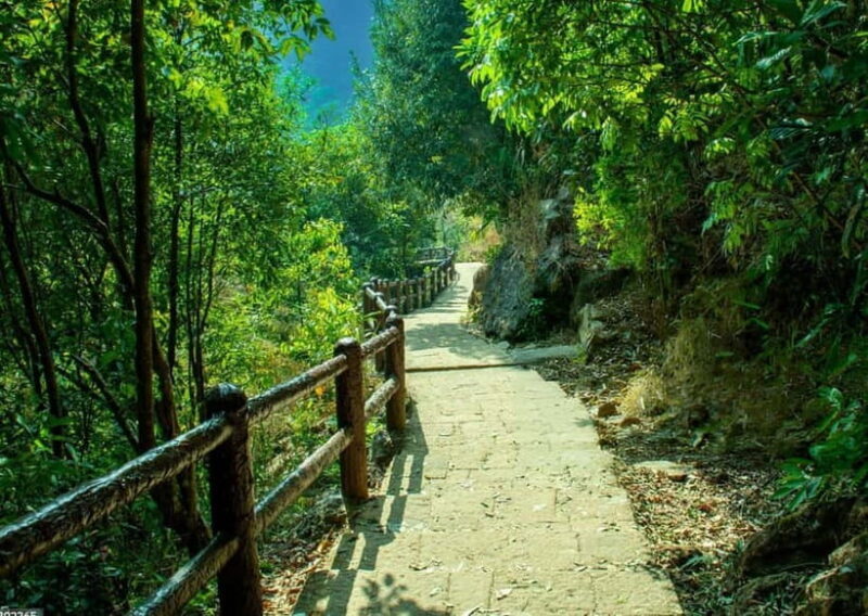 Shillong Green Trails: Guided Trekking Experience with local - Why Choose Shillong Green Trails?