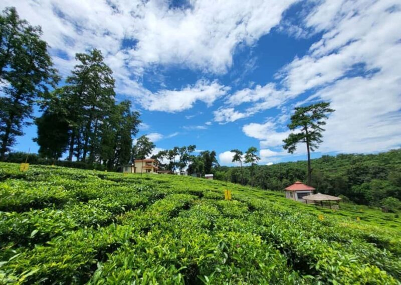 Shillong: Guided Half-Day Sightseeing Tour by Car - Good To Know