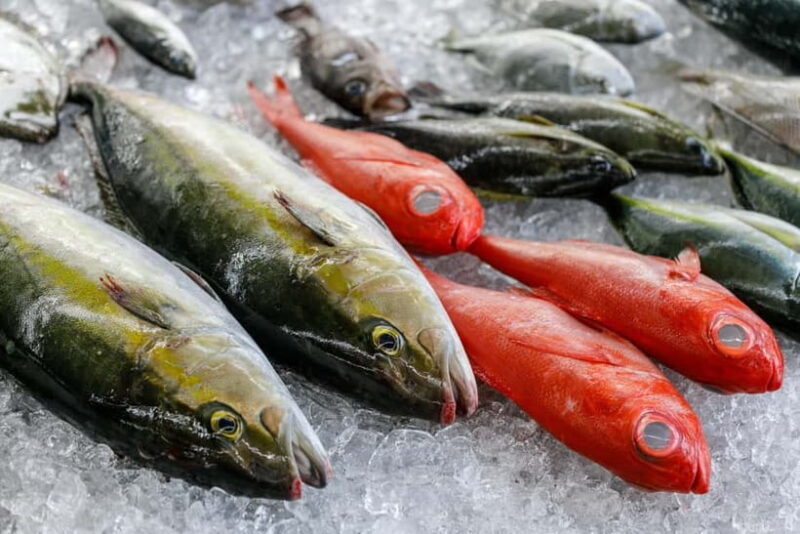 Shima: Standard Fish Shop Tour & Workshop - Exploring the Shima Fish Shop Tour & Workshop in Depth  