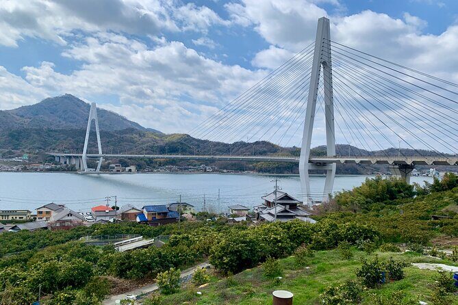 Shimanami Kaido, 1Day Relaxed Island Hopping Cycling Tour - Who Will Love This Tour?