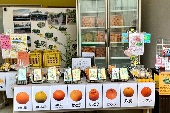 Shimanami Kaido, 1Day Relaxed Island Hopping Cycling Tour - Final Thoughts