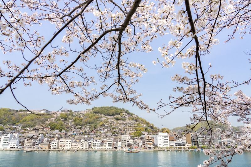 Shimanami Kaido Electric Bicycle 1-Day Tour (Departing from Onomichi) - A self-guided day on the Shimanami Kaido