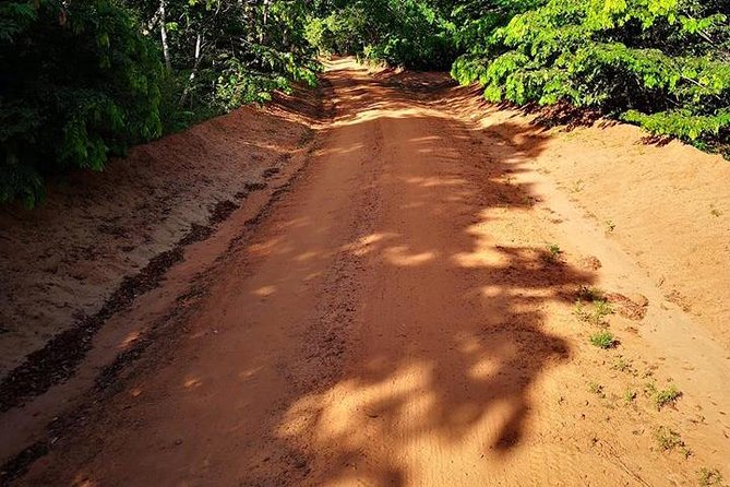 Shimba Hills Excursion - Good To Know