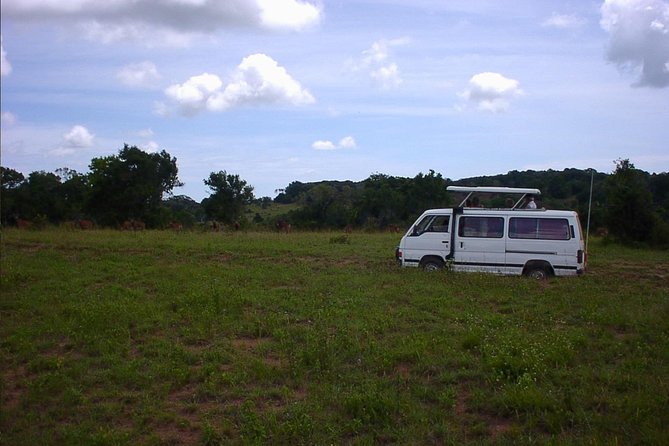 Shimba Hills National Reserve Day Tour From Mombasa/Diani Beach & Surroundings - Booking and Confirmation Process