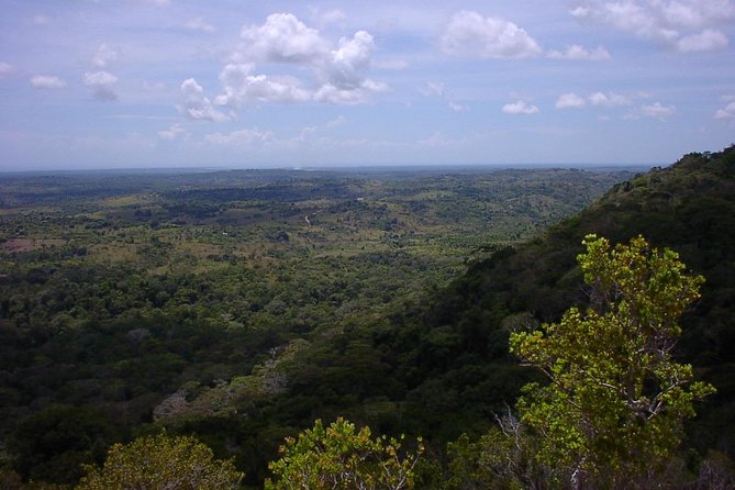 Shimba Hills National Reserve Day Tour From Mombasa/Diani Beach & Surroundings - Operator Information