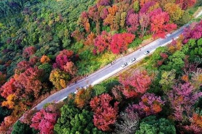 Shimen National Forest Park & Conghua Hot Spring Private Day Tour - Additional Information