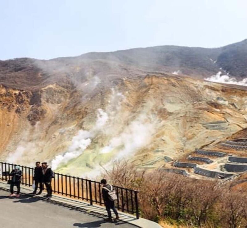 Shimizu: Hakone full-day Private Tour with Guide - Final Thoughts