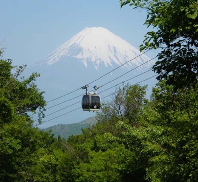 Shimizu: Hakone full-day Private Tour with Guide - Final Thoughts