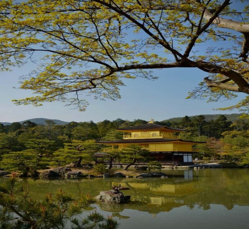 Shimizu: Kyoto Private Custom Day Tour with English guide - Good To Know