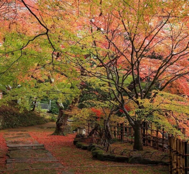 Shimizu: Kyoto Private Custom Day Tour with English guide - An In-Depth Look at the Kyoto Private Day Tour