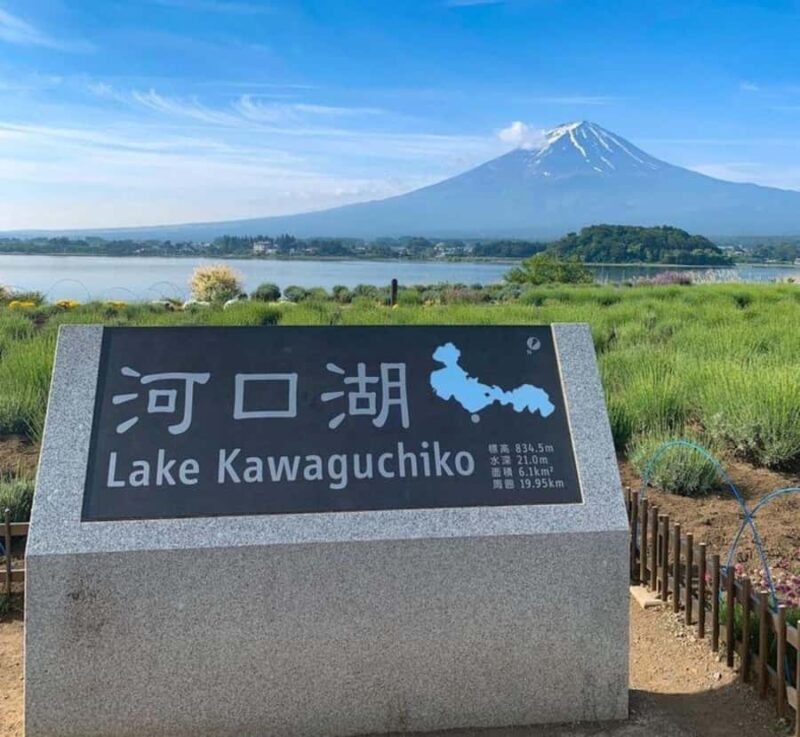 Shimizu: Mount Fuji Private Tour with Custom Itinerary - Who Should Consider This Tour?