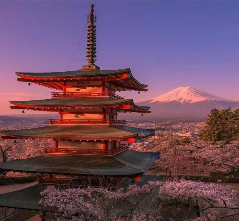 Shimizu: Mount Fuji Private Tour with Custom Itinerary - The Sum Up