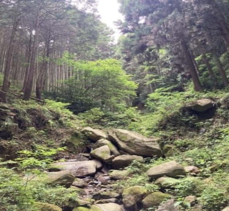 Shimizu: Nikko Private Historical & Spiritual full-day Tour - FAQs