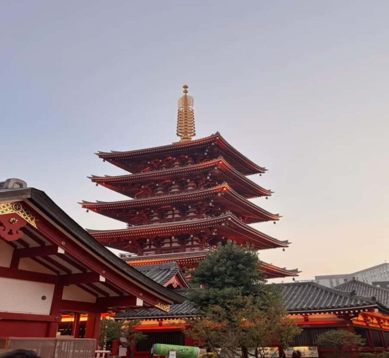 Shimizu: Tokyo Private Day Trip with Guide - An Authentic, Well-Organized Day in Tokyo