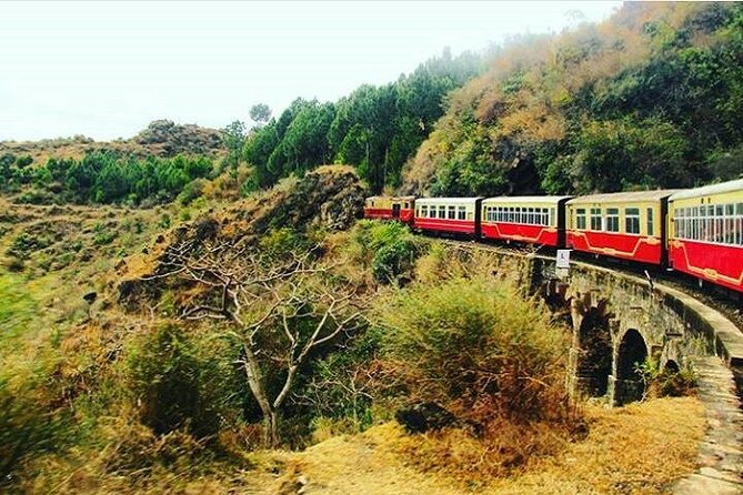 Shimla 4-Day Private Tour From Delhi - Customer Reviews