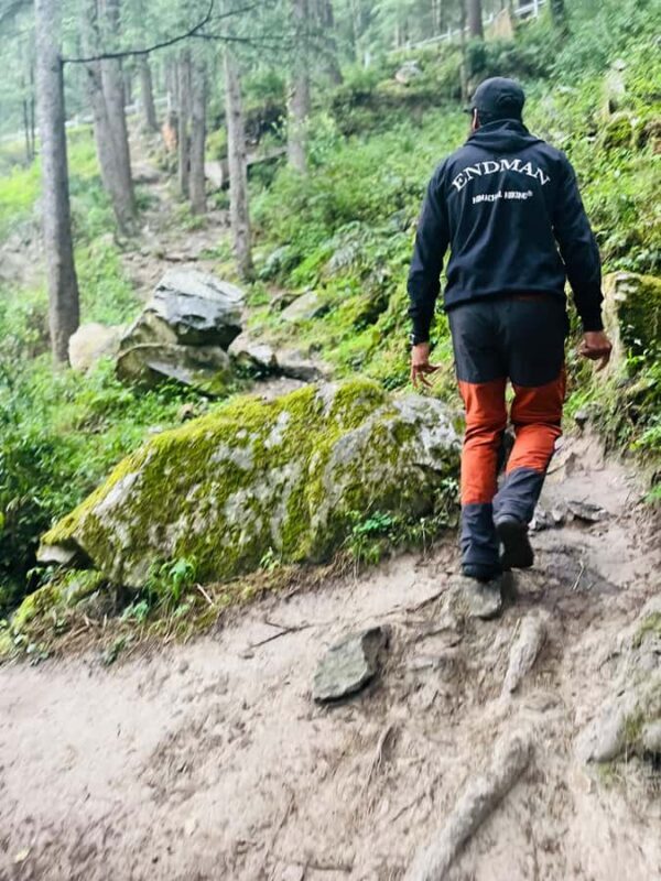 Shimla: Beginner-Friendly Rappelling & Climbing Tour - A Deep Dive into the Experience