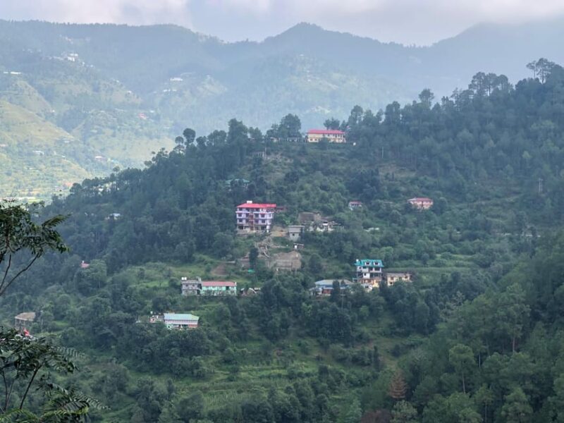 Shimla: Experience the Best of Shimla with a Local Guide - FAQs