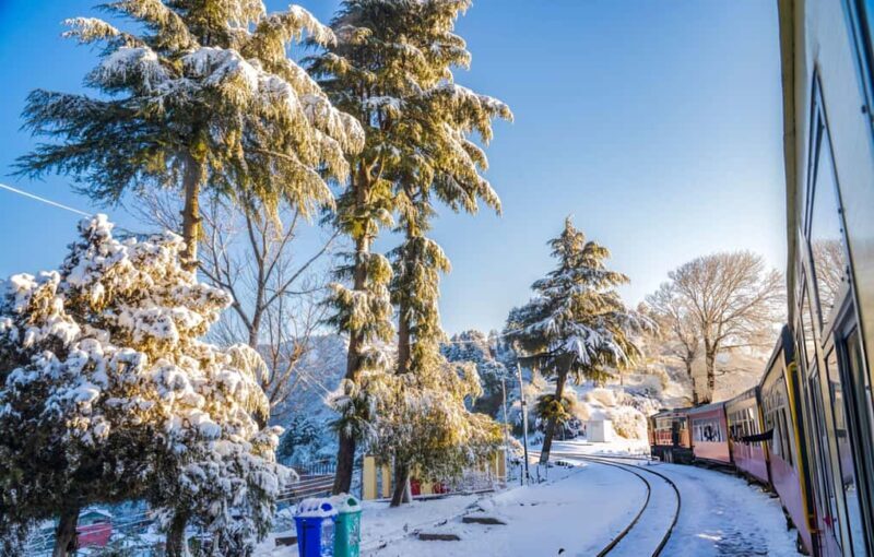 Shimla: Guided City Day Tour with Kufri Hill Station Visit - Why This Tour Is a Great Choice