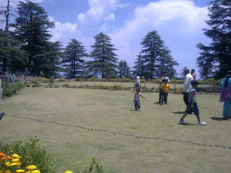 Shimla: Hiking Tour to Jakhu Hill with Local Guide - The Guide’s Role and Folklores