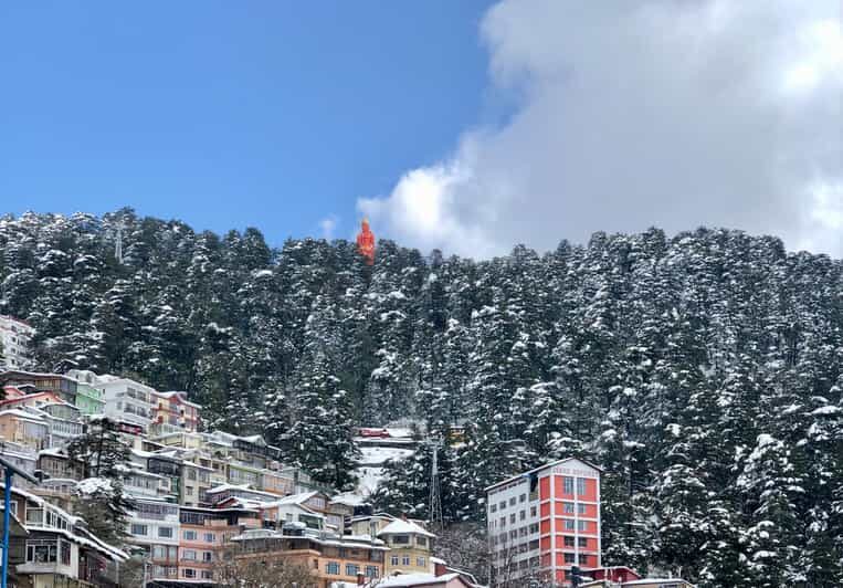 Shimla: Hiking Tour to Jakhu Hill with Local Guide - The Experience and What Makes It Special