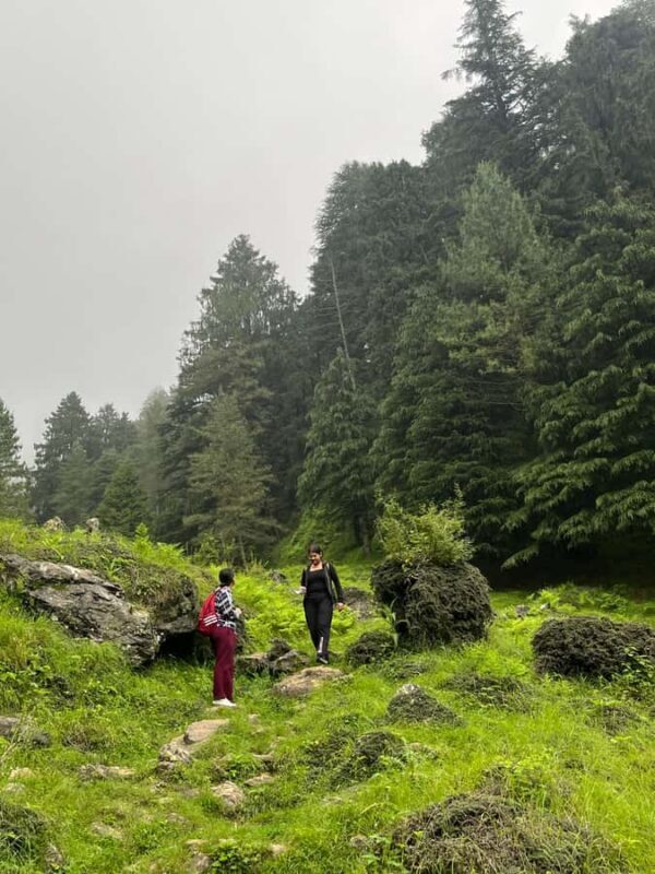 Shimla: Shali Tibba Guided Hike with Scenic Views - A Complete Look at the Shali Tibba Guided Hike