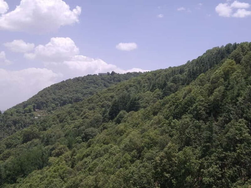 Shimla: Temples Tour with full day Local Driver Guide - Why Choose This Tour?