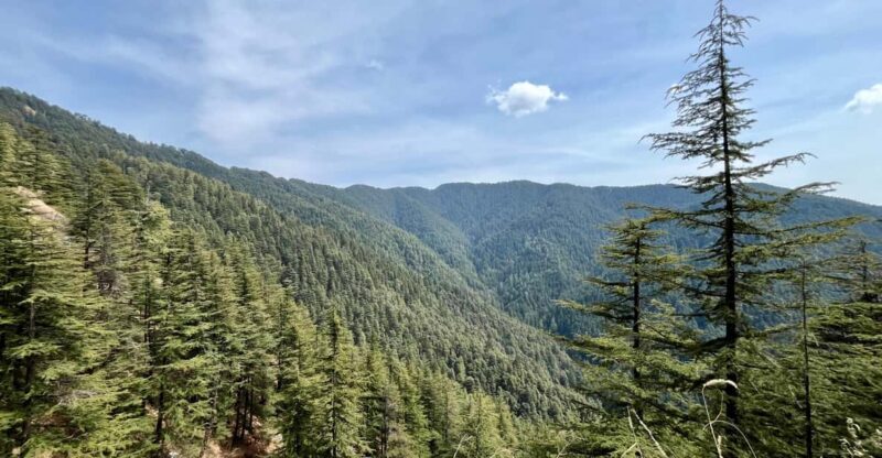 Shimla: Wildlife Sanctuary & Water Catchment Guided Tour - Frequently Asked Questions