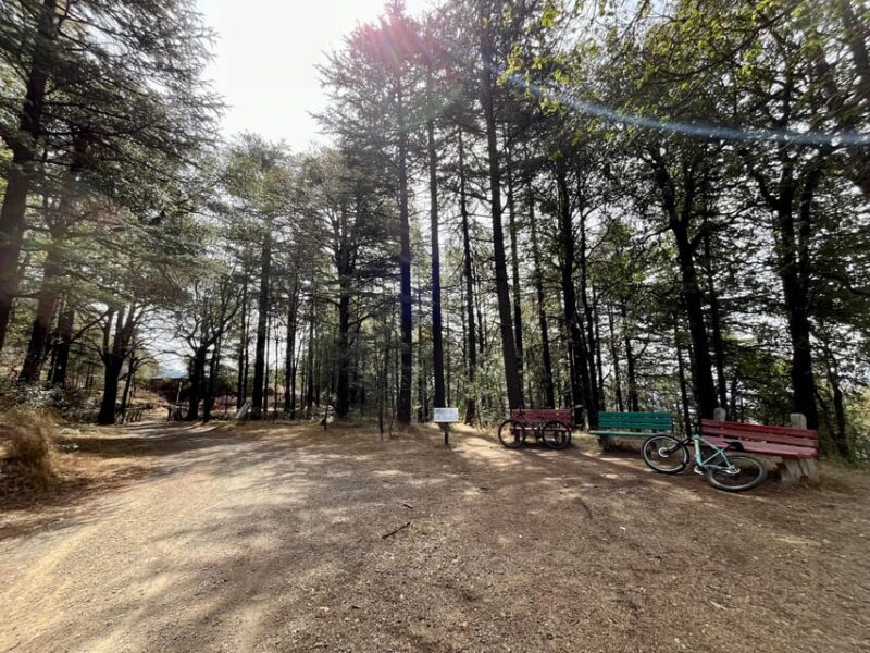 Shimla: Wildlife Sanctuary & Water Catchment Guided Tour - What You’ll Experience