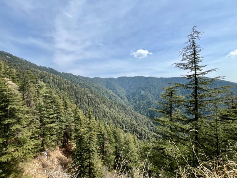 Shimla: Wildlife Sanctuary & Water Catchment Guided Tour - Practical Details & Considerations