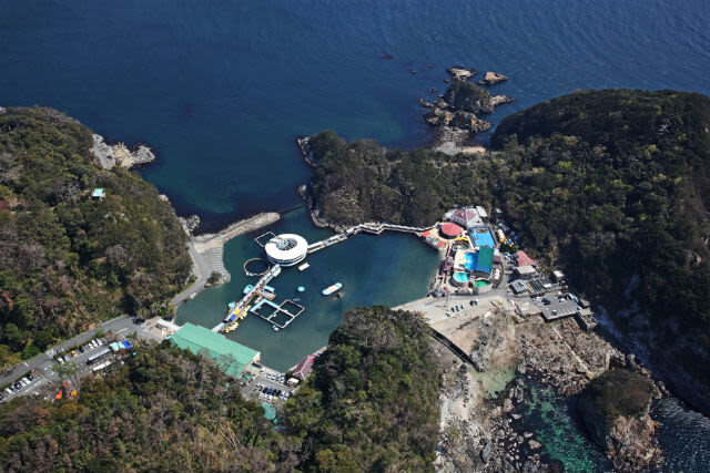 Shimoda Aquarium Ticket in Shizuoka - Aquadome Perry, the aquarium on the water