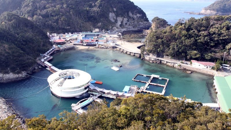 Shimoda Aquarium Ticket in Shizuoka - Dolphins, penguins, seals, and animal shows