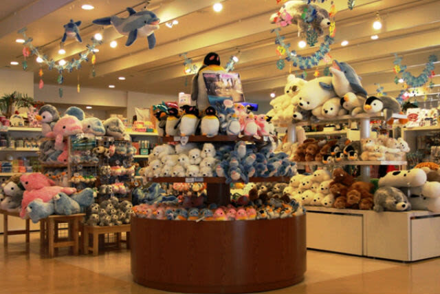 Shimoda Aquarium Ticket in Shizuoka - Getting there from central Shimoda