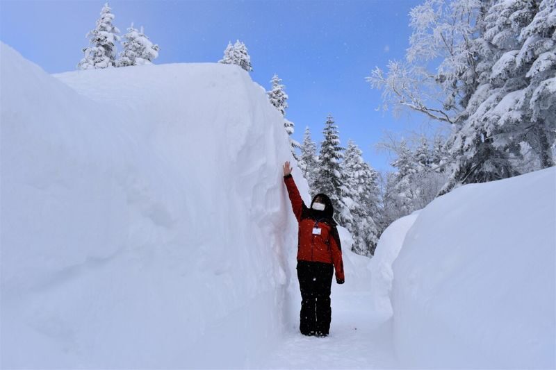 Shin-Hotaka Ropeway & Hida Limestone Cave Full-Day Discovery - Hida Limestone Cave brings a change of pace
