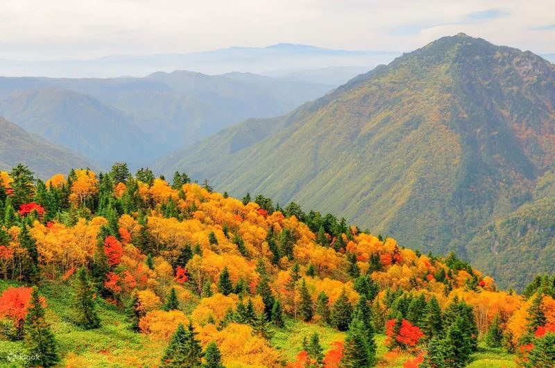 Shin-Hotaka Ropeway & Hida Limestone Cave Full-Day Discovery - Snow, hot springs, and food may add to a winter day