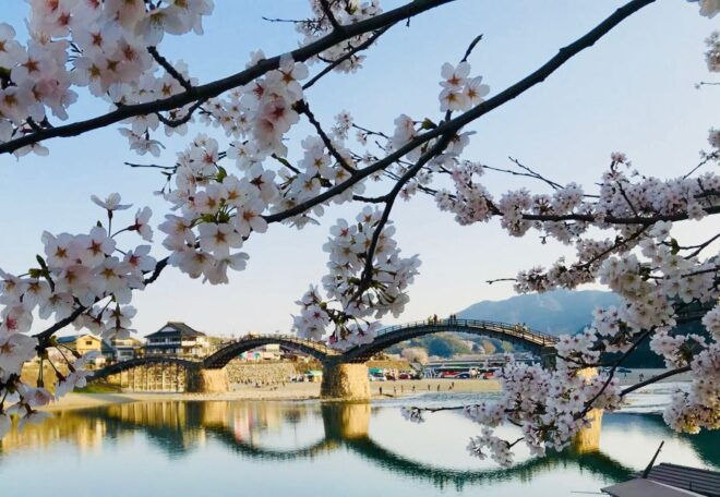 Shin-Yamaguchi: 1 or 2 Day Car Rental - Select Participants and Date
