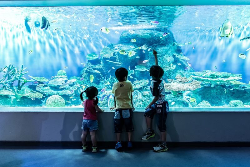 Shinagawa Aquarium Admission Ticket in Tokyo - Getting to Katsushima, not Shinagawa Station