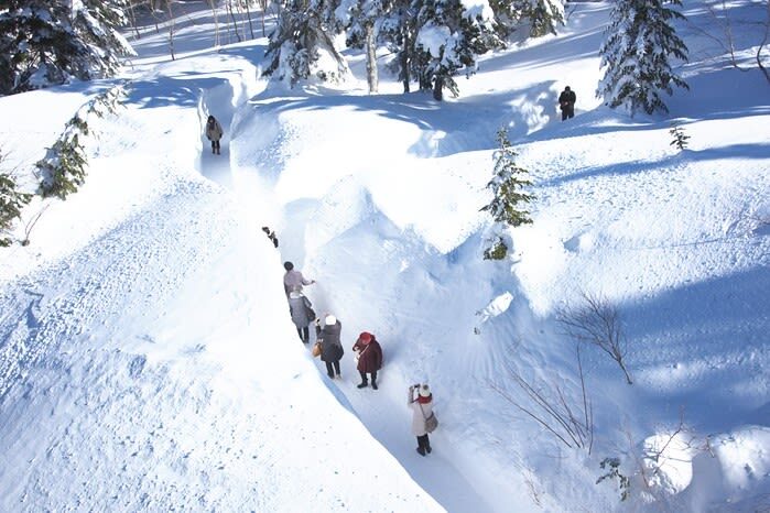 Shinhotaka Ropeway Day Trip Bus Tour (Departing from Nagoya) - The long ride is part of the bargain
