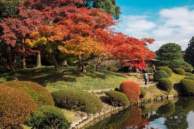 Shinjuku Gyoen National Garden 2 Hour Walking Tour - The Value of the Tour