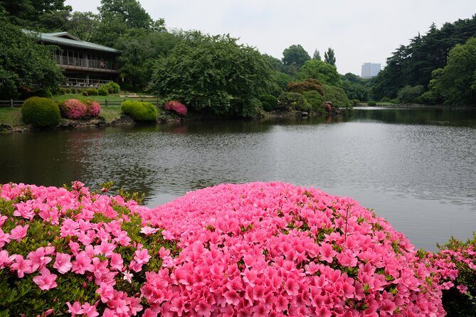 Shinjuku Gyoen National Garden 2 Hour Walking Tour - Who Should Book This Tour?