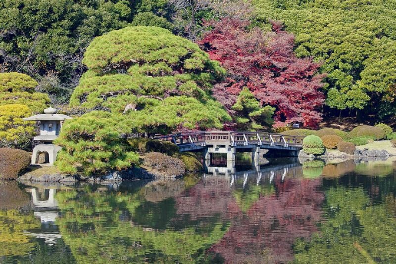 Shinjuku Gyoen National Garden - 2 Hours Walking Tour - At a glance