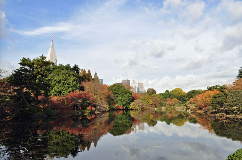 Shinjuku Gyoen Ticket in Tokyo - At a glance