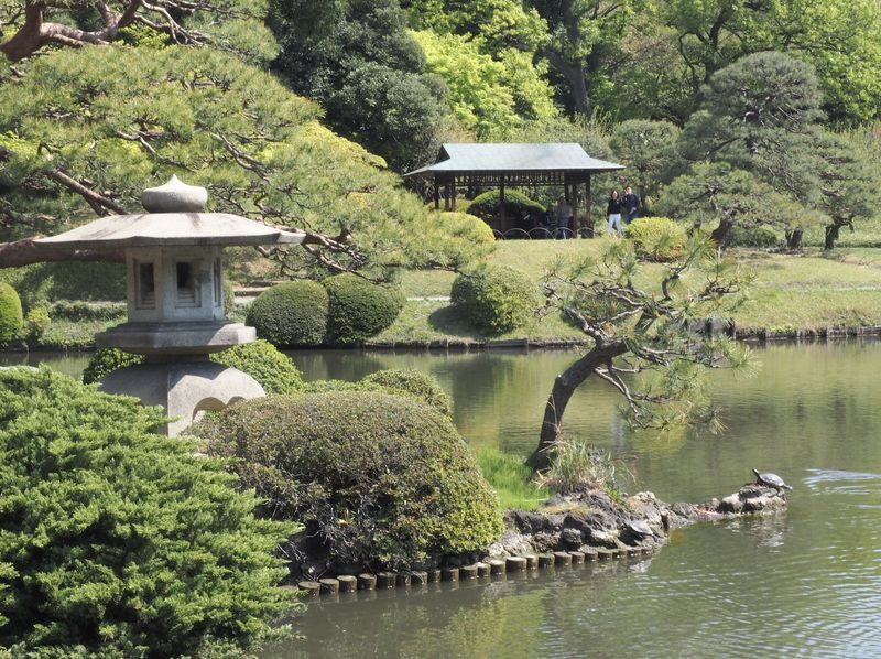 Shinjuku Gyoen Ticket in Tokyo - A practical two-to-three-hour route