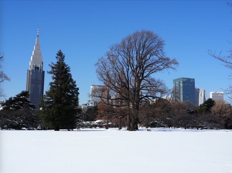 Shinjuku Gyoen Ticket in Tokyo - Getting to the gate without a detour