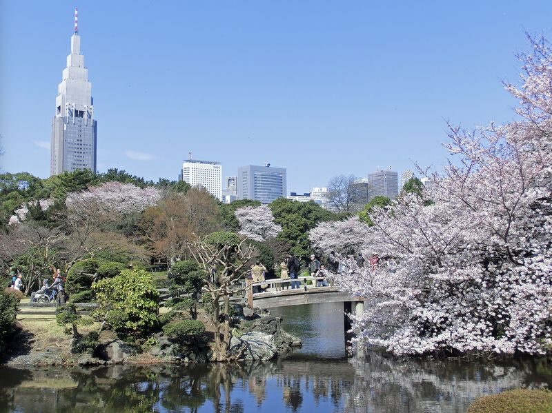 Shinjuku Gyoen Ticket in Tokyo - Hours, rules, and a few useful cautions