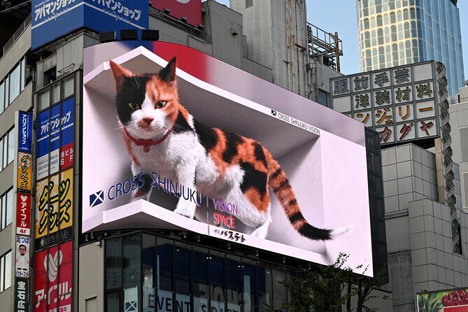 Shinjuku Highlights Walking Tour - Good To Know